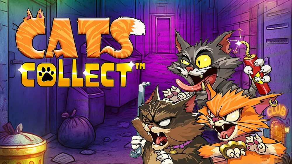 Cats Collect main thumbnail