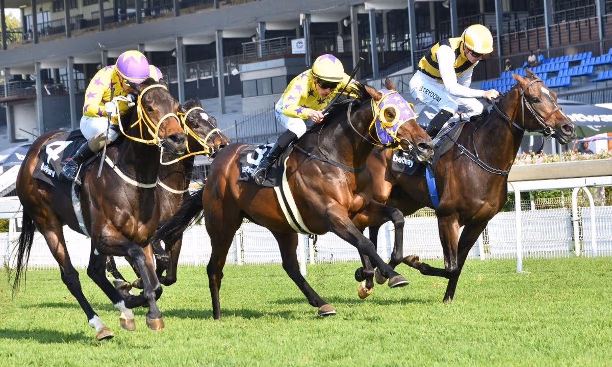 Mike and Mathew de Kock Target Golden Horse Shoe Sprint with Miami Mountain 