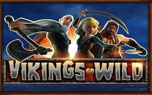 Vikings Go Wild main thumbnail