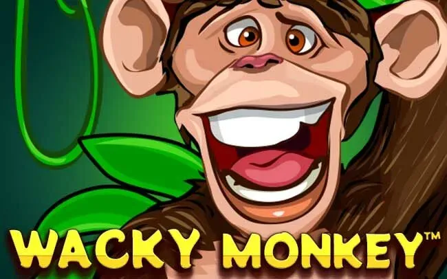 Wacky Monkey main thumbnail