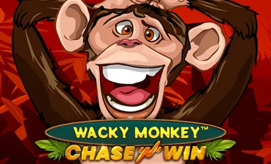 Wacky Monkey - Chase and Win main thumbnail