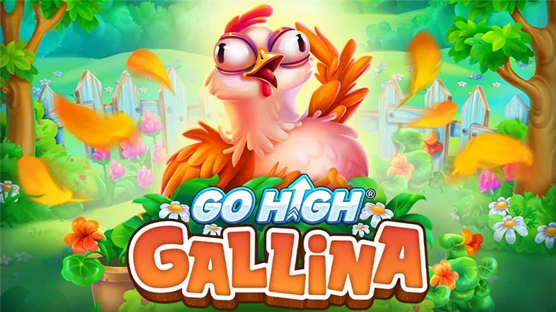 Go High Gallina  main thumbnail