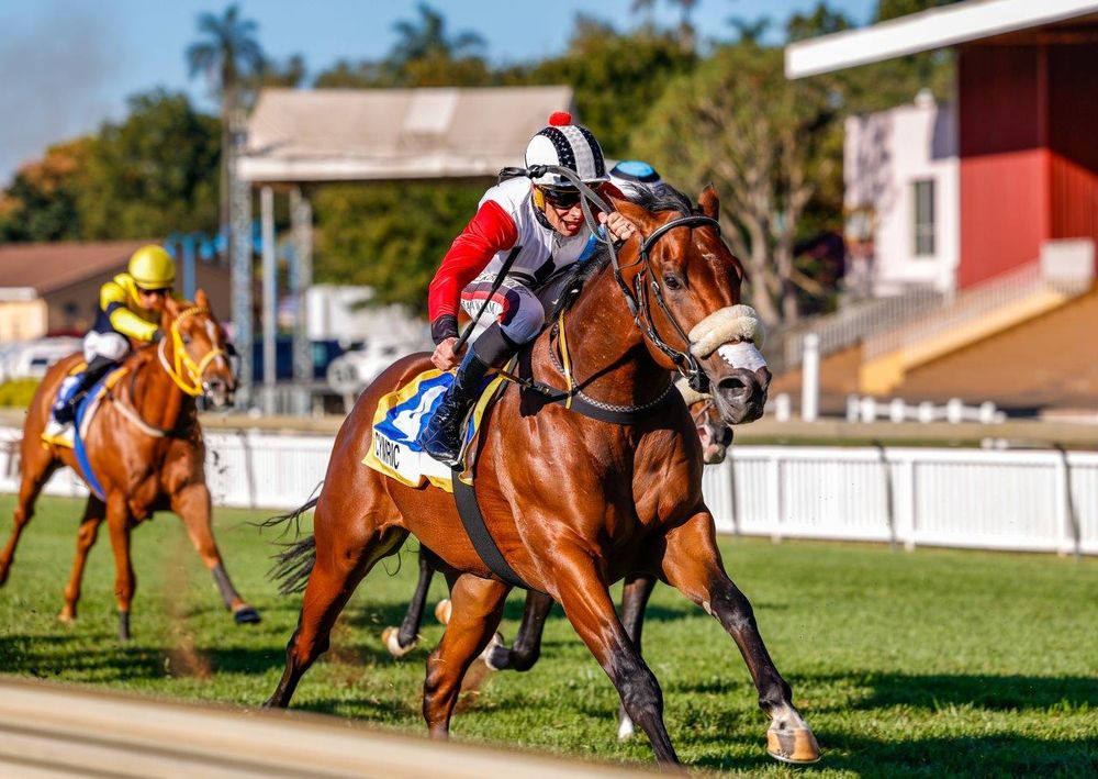 Mike & Mathew de Kock Runner Comments: 14 - 15 February 2026