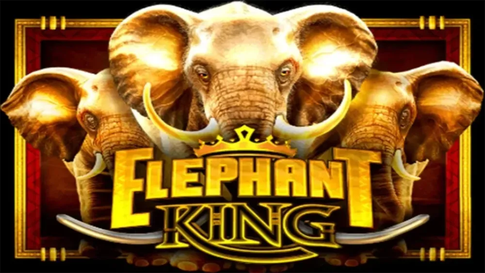 Elephant King main thumbnail