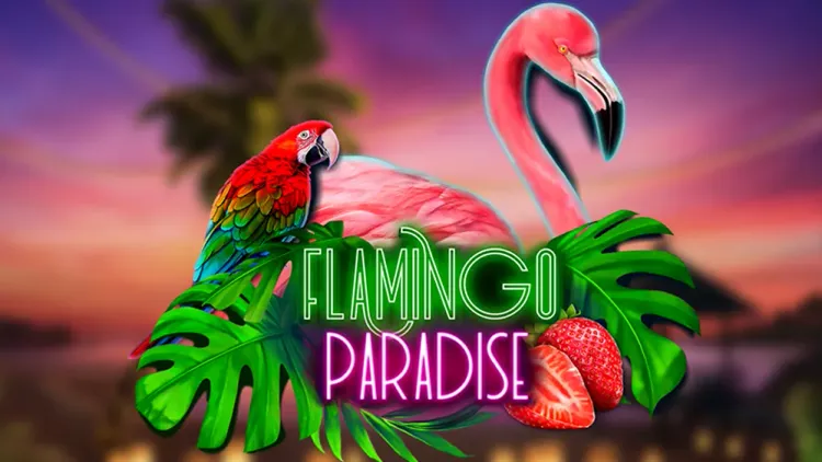 Flamingo Paradise