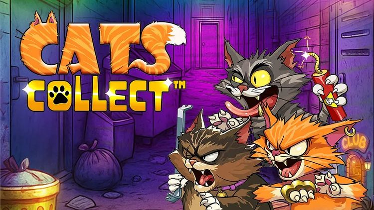 Cats Collect