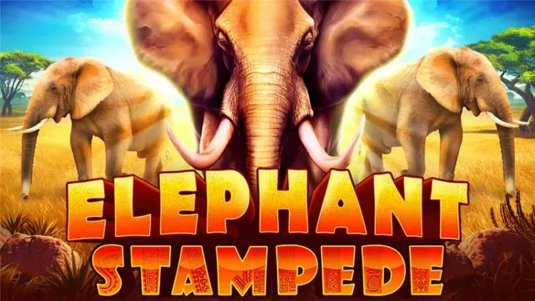 Elephant Stampede