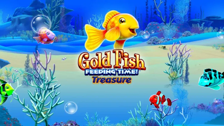 Goldfish Feeding Time