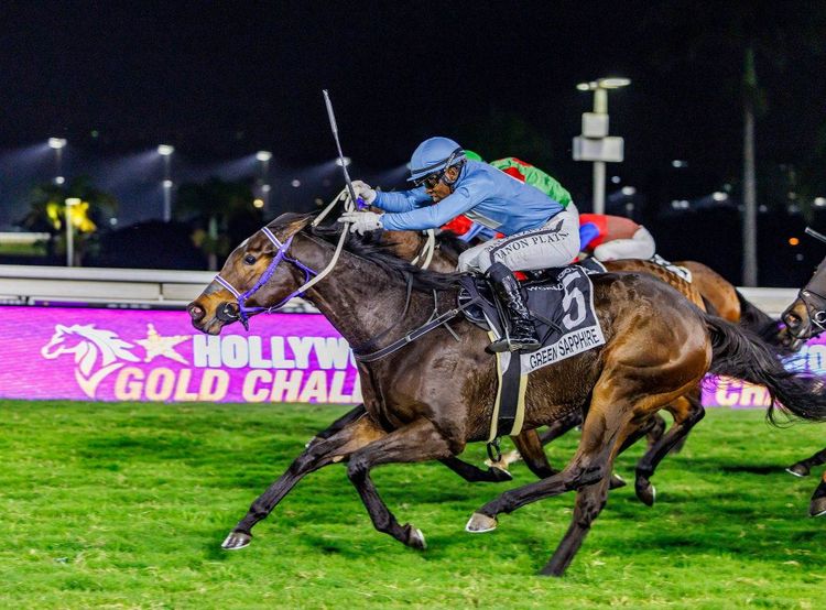 Ladies’ Night Takes Centre Stage at Lucky Fish Friday Night Racing