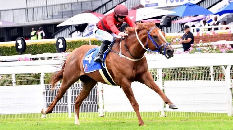 Mike and Mathew de Kock Runner Comments: 18 June 2026
