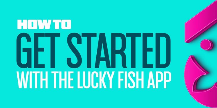 How to Get Started with the Lucky Fish App