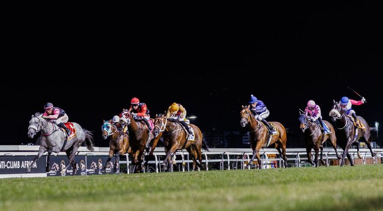 Lucky Fish Friday Night Racing: Where Racing Meets Entertainment