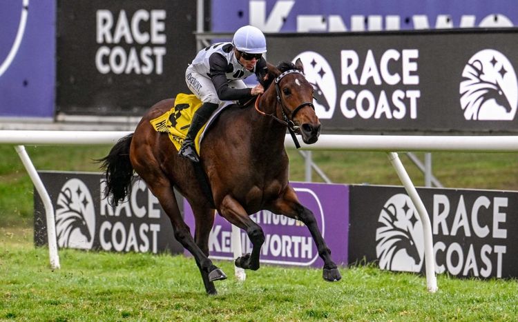 Lucky Fish Cape Derby - The First Entries Are In!