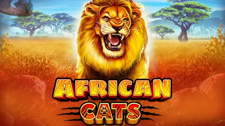 African Cats