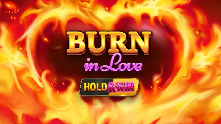 Burn In Love