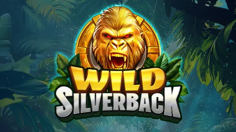 Wild Silverback