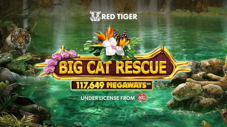Big Cat Rescue MegaWays