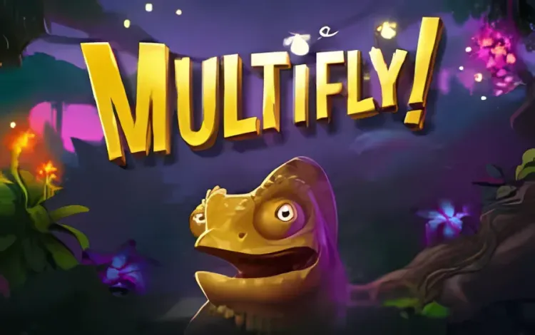 MultiFly!