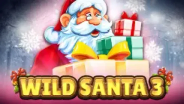 Wild Santa 3