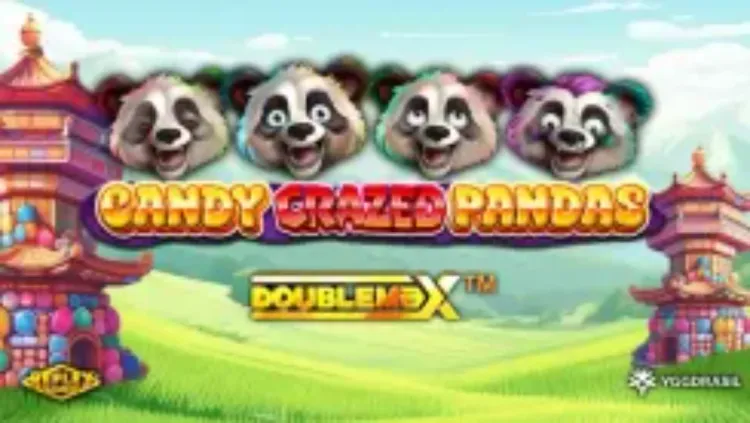 Candy Crazed Pandas DoubleMax