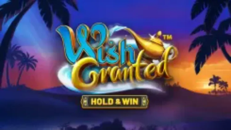 Wish Granted