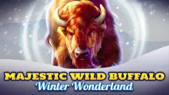 Majestic Wild Buffalo - Winter Wonderland
