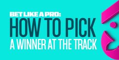 Bet Like a Horse Racing Pro: How to Pick a Winner