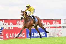 Different Paths, Same Dream for de Kock Duo at Hollywoodbets Durban July