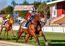 Mike & Mathew de Kock Runner Comments: 14 - 15 February 2026