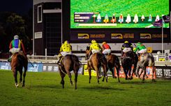 Experience the Taste of Japan at Friday Night Racing
