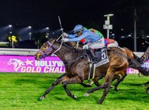 Ladies’ Night Takes Centre Stage at Lucky Fish Friday Night Racing
