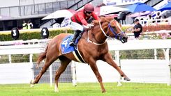 Mike and Mathew de Kock Runner Comments: 18 June 2026