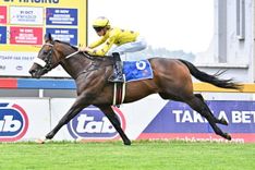 Mike & Mathew de Kock Runner Comments: 02 May 2026