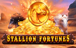 Stallion Fortunes