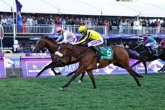 Enter the Lucky Fish July Sprint Jackpot