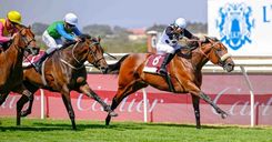 Can Wish List End the 26-Year Filly Drought in the Lucky Fish Cape Derby?