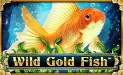 Wild Gold Fish