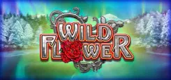 Wild Flower