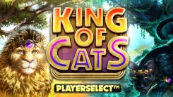 King of Cats
