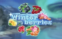 Winterberries