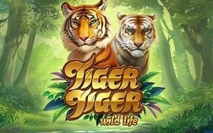 Tiger Tiger main thumbnail